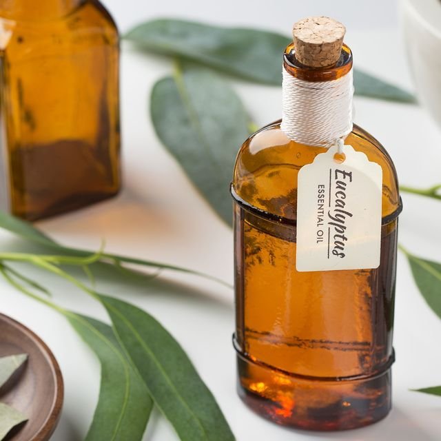 Eucalyptus Essential Oil