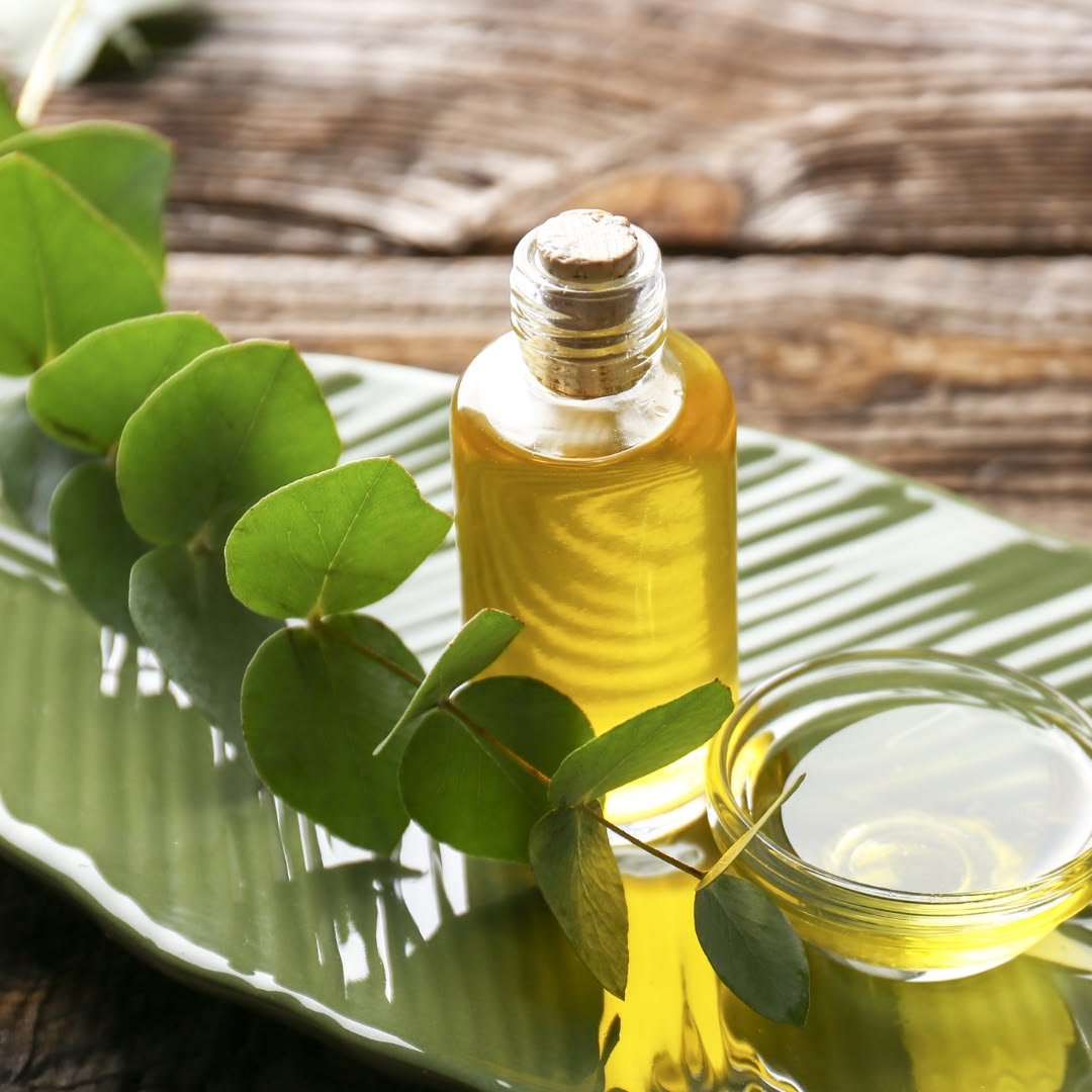 Pure Eucalyptus Oil